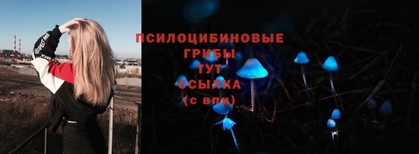 дурь Бугульма