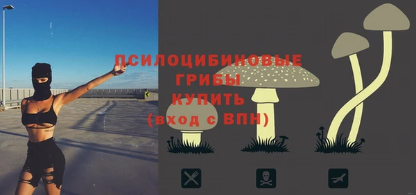 тгк Бронницы