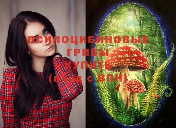 тгк Бронницы