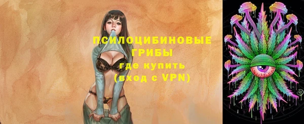 тгк Бронницы